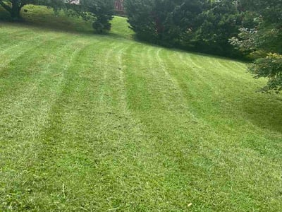 Lawn care service in Knoxville, 37912