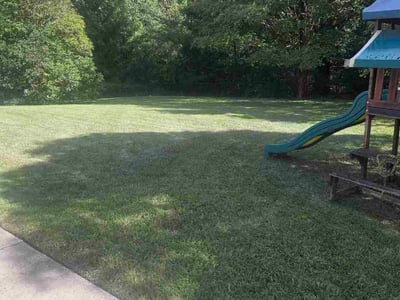 Lawn care service in Thomasville, 27360