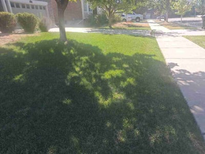 Lawn care service in Aurora, 80018