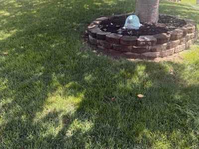 Lawn care service in Woodbridge, 22191