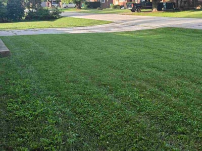 Lawn care service in Plainfield, 46168