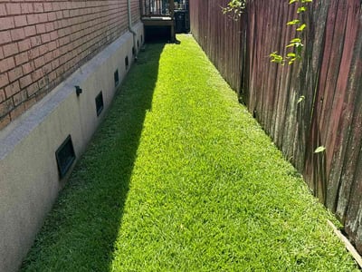 Lawn care service in New Orleans, 70131