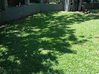 Lawn care service in Austin, 78703