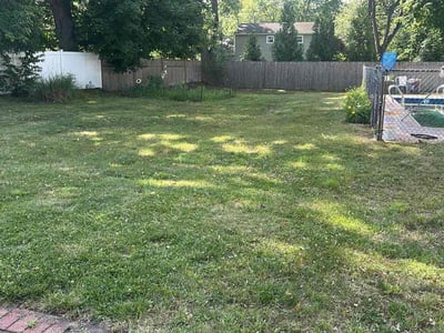 Lawn care service in Greenlawn, 11740