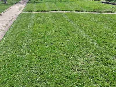 Lawn care service in Hammond, 46324