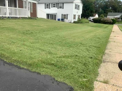 Lawn care service in Willingboro, 08046