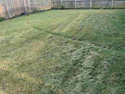 Lawn care service in Bentonville, 72713