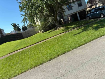 Lawn care service in Louisville, 40220