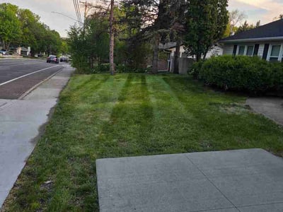 Lawn care service in Edina, 55410
