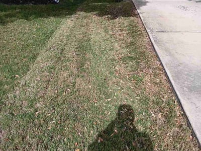 Lawn care service in , 