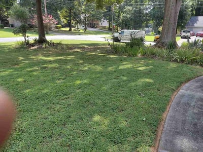 Lawn care service in Lithonia, 30058
