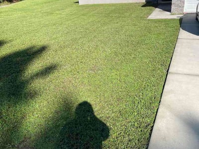 Lawn care service in Ocala, 34473