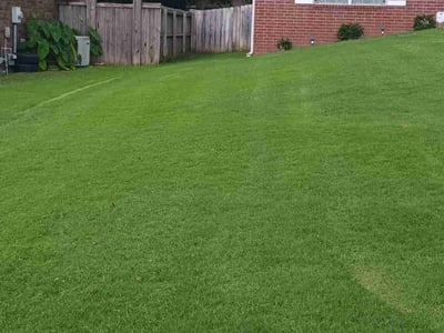 Lawn care service in Conway, 72032