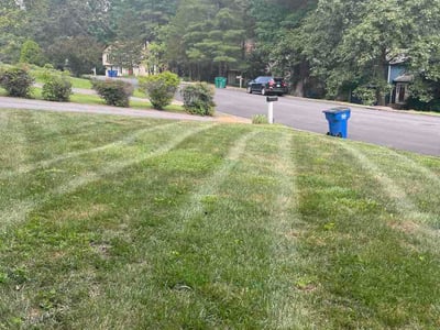 Lawn care service in Richmond, 23238