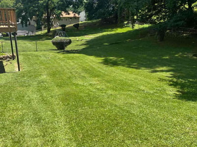 Lawn care service in Roanoke, 24019