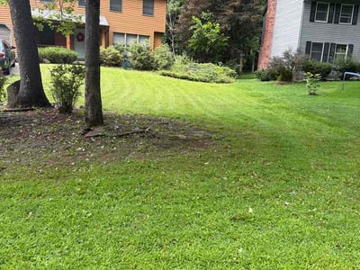 Lawn care service in Clifton Park, 12065
