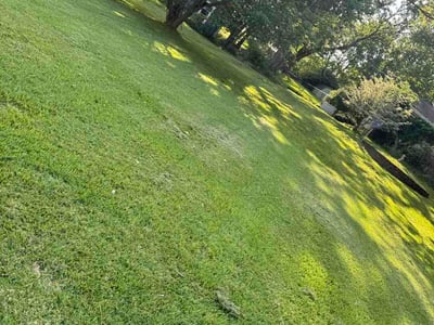 Lawn care service in Mansfield, 44906