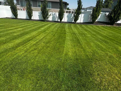 Lawn care service in Lehi, 84043