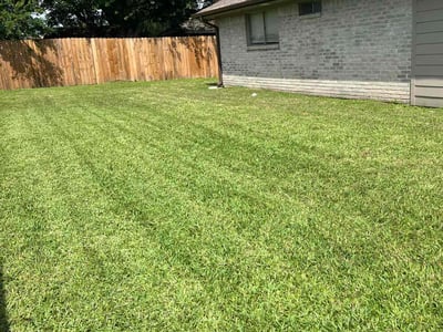 Lawn care service in Missouri City, 77459