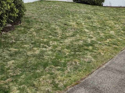 Lawn care service in Warwick, 02888