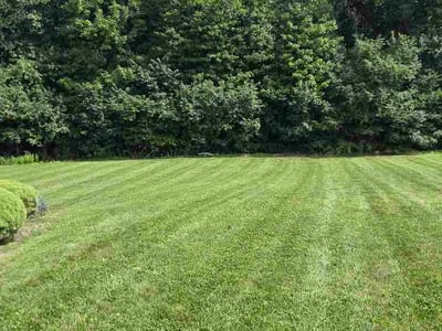 Lawn care service in Shelton, 06484