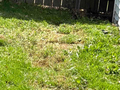 Lawn care service in Elyria, 44035