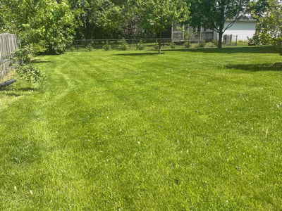 Lawn care service in Naperville, 60565