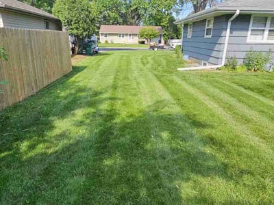 Lawn care service in Minneapolis, 55431