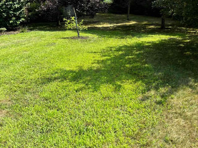 Lawn care service in Pottsville, 17901
