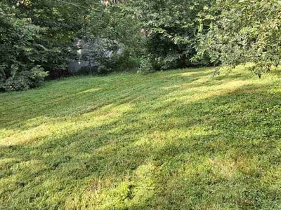 Lawn care service in Bellevue, 68005