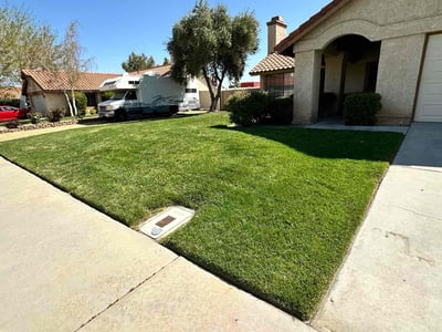 Lawn care service in Palmdale, 93551
