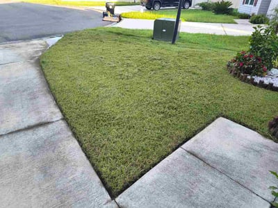 Lawn care service in Green Cove Springs, 32043