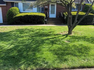 Lawn care service in Lindenhurst, 11757