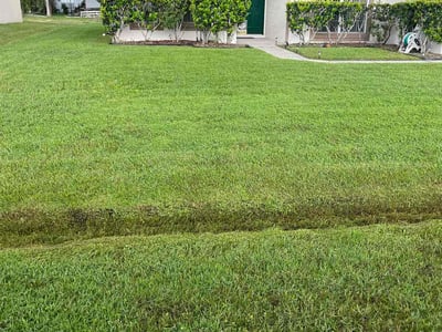 Lawn care service in Kissimmee, 34758