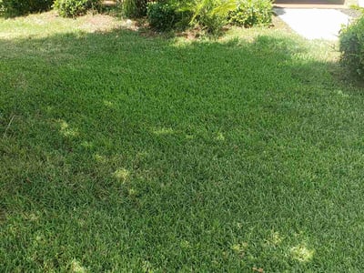 Lawn care service in Sarasota, 34238
