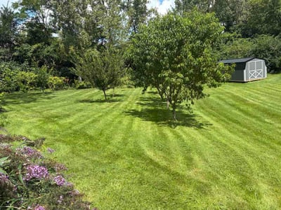 Lawn care service in Moraine, 45439