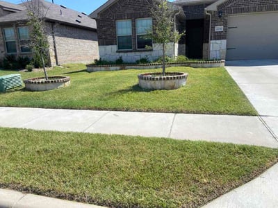 Lawn care service in Royse City, 75189