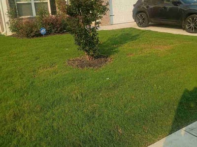 Lawn care service in Cleveland, 37311