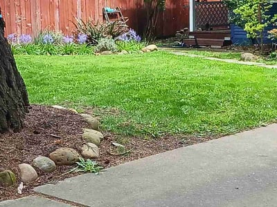 Lawn care service in Portland, 97233