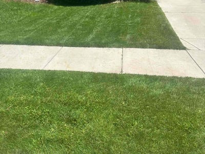 Lawn care service in Commerce City, 80022