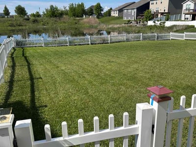 Lawn care service in Blaine, 55449