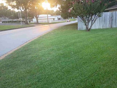 Lawn care service in Longview, 75605
