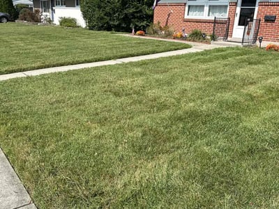 Lawn care service in Parkville, 21234