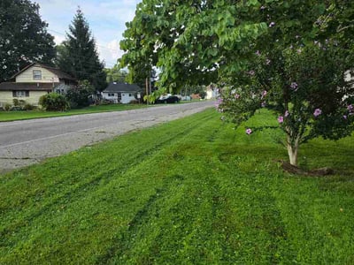 Lawn care service in Luna Pier, 48157