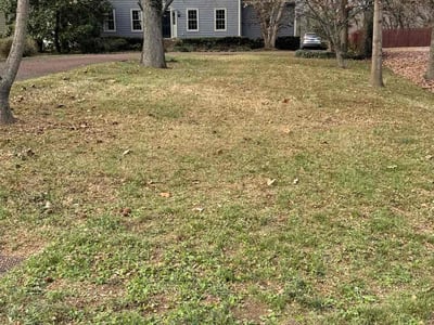 Lawn care service in Nashville, 37115