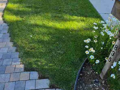 Lawn care service in Sparks, 89436