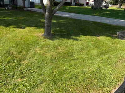Lawn care service in Oswego, 60543