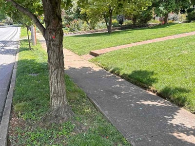 Lawn care service in Roanoke, 24014
