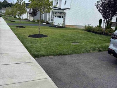 Lawn care service in King of Prussia, 19406
