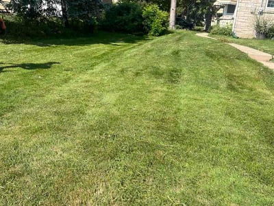 Lawn care service in Greenfield, 53219